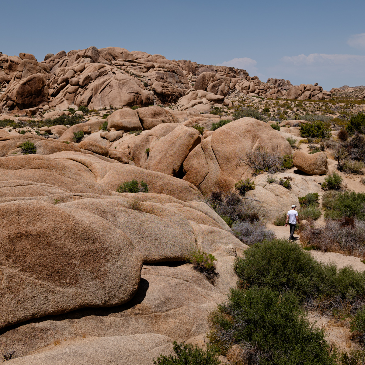 Lost amongst the boulders. Joshua Tree National Park, California, 2023.