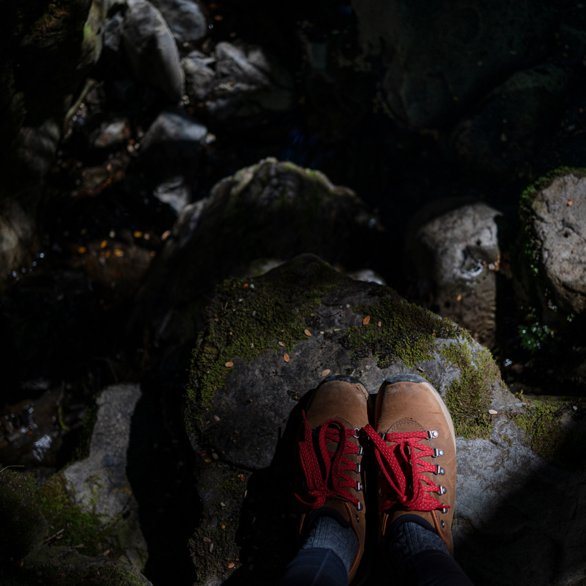 Danners! Mount Aspiring National Park, New Zealand, 2024.