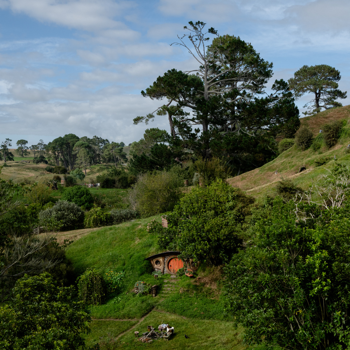 A little stroll through the Shire. Matamata, New Zealand, 2024.