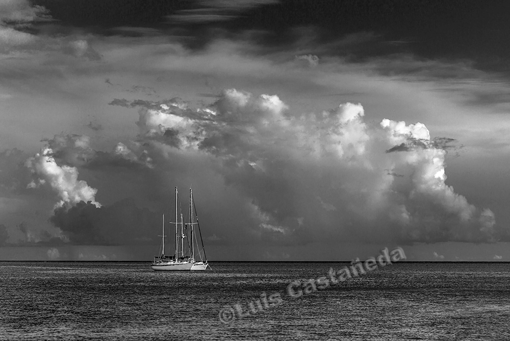 bw-974-sailboat