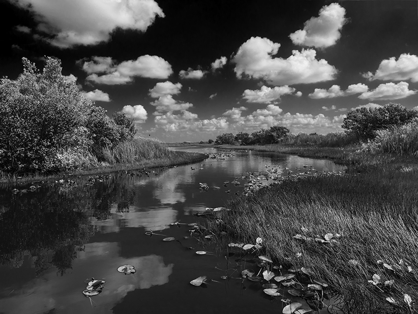 bw-944-the-everglades