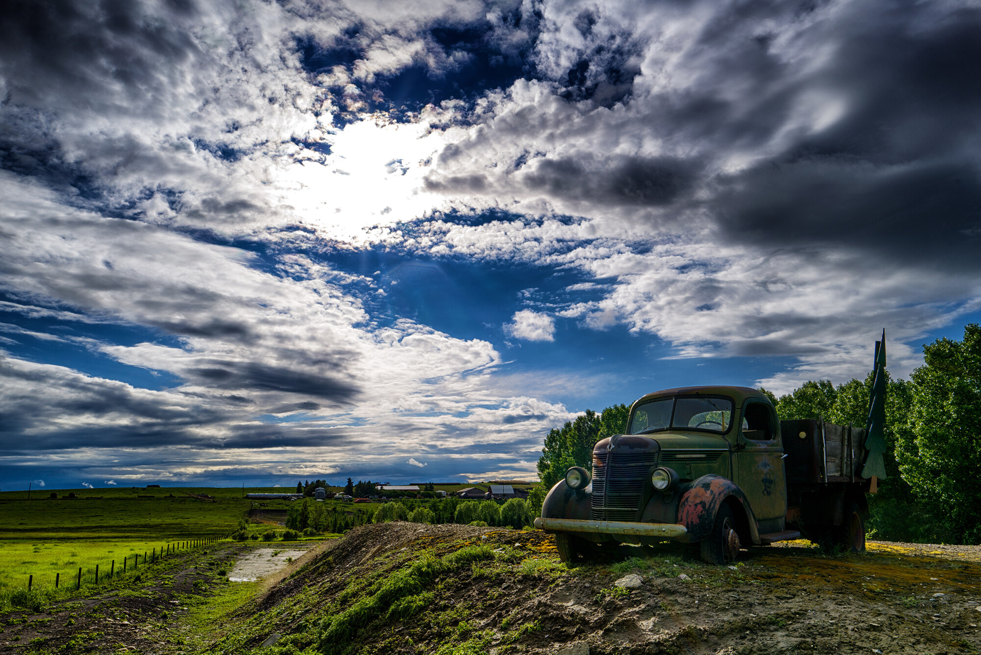 tree-farm-truck